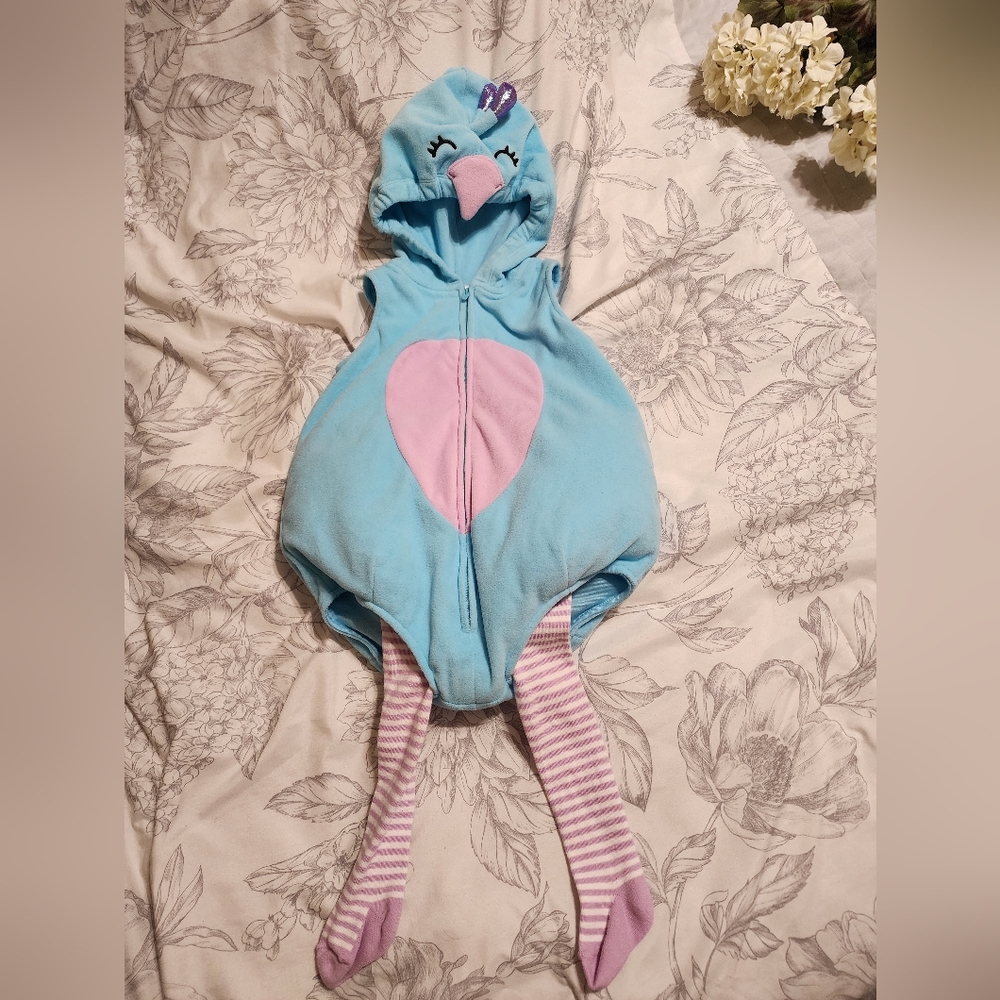Carter's Peacock costume